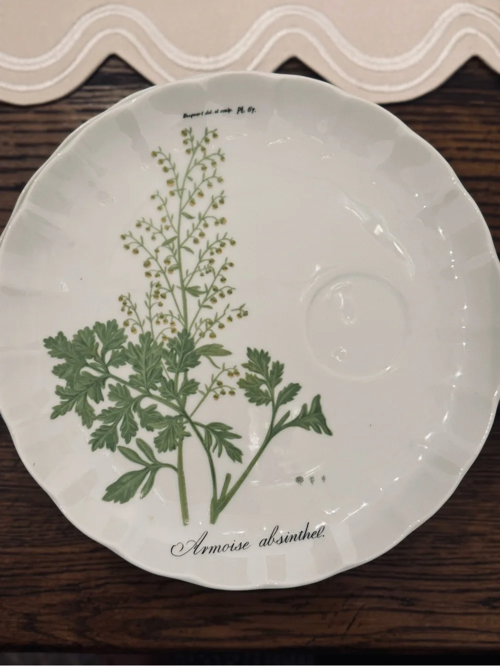 TASTE SETTER COLLECTION® Botanical Green and Pink  Scallop plates  Set - 4